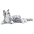 Silver Cat with White Mitts Z705092