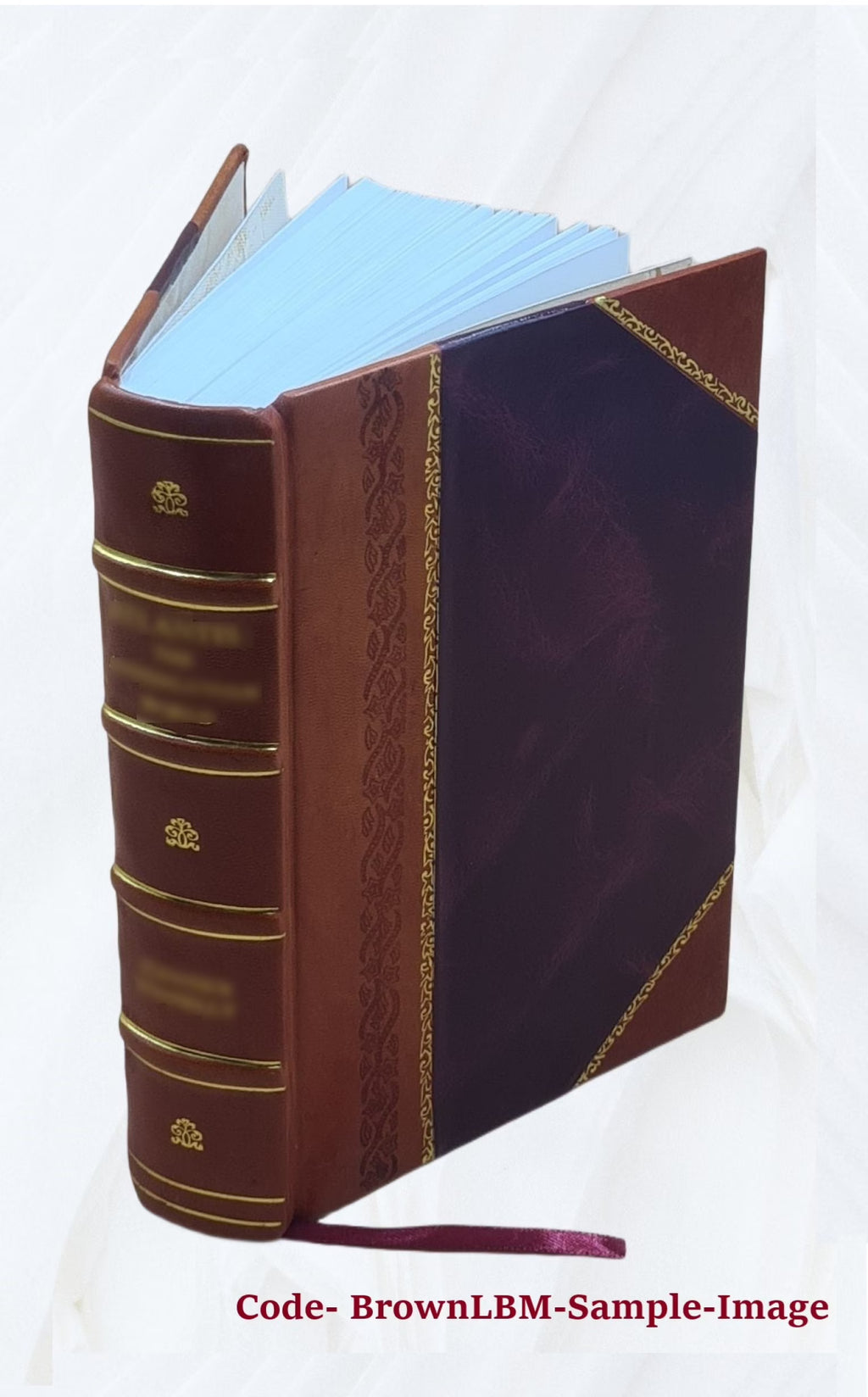 Leather Bound Book N925985