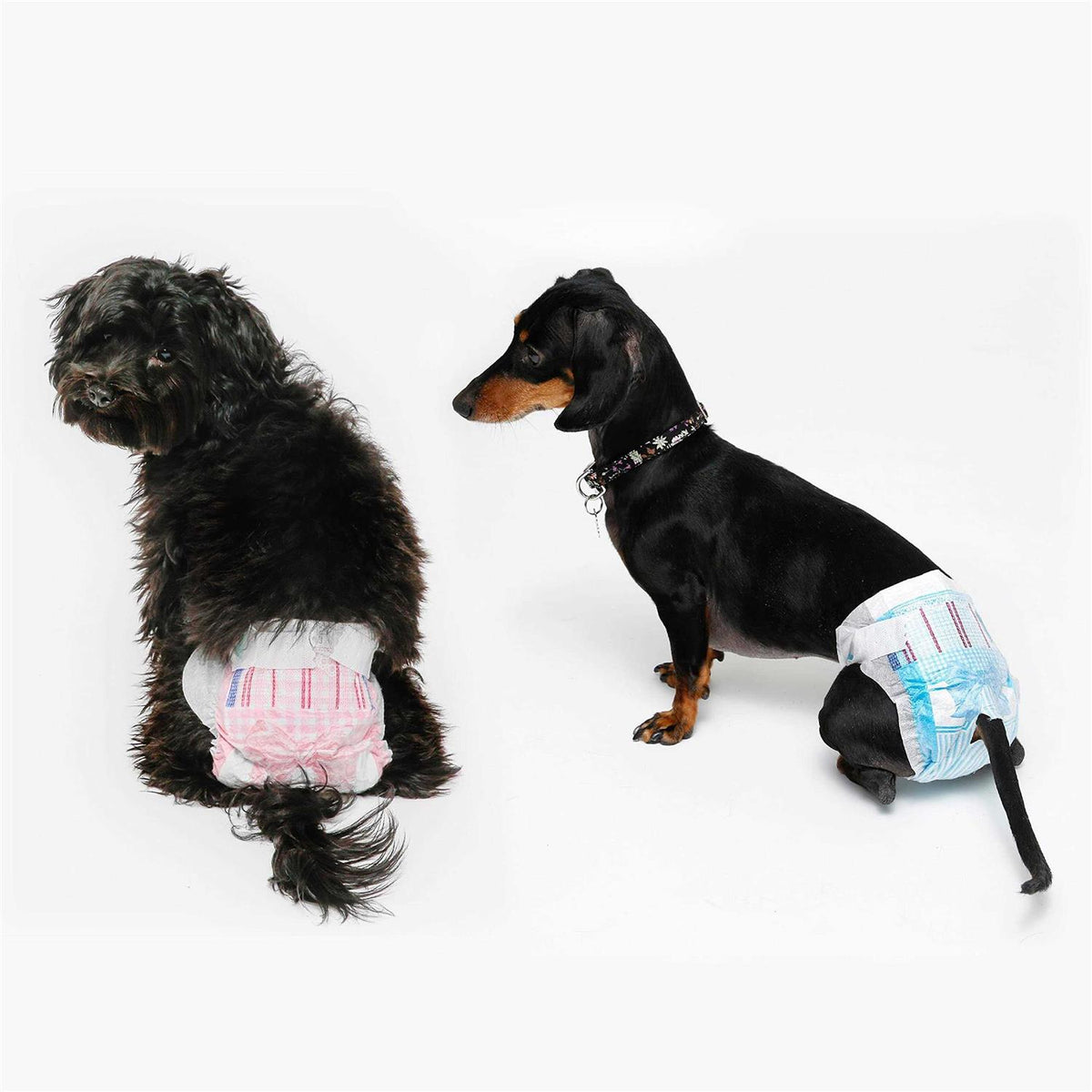 Disposable Dog Diapers G441