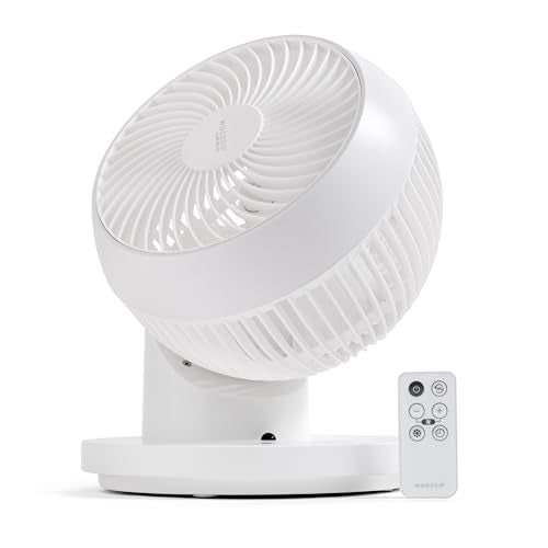 Oscillating Fan H820288