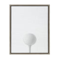 Gray Framed Canvas U961