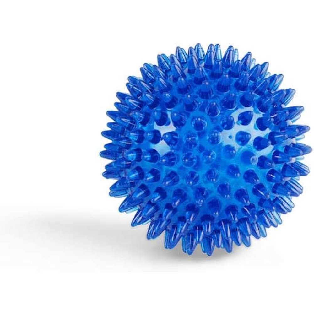 Spiny Ball Dog Chew Toy I376667