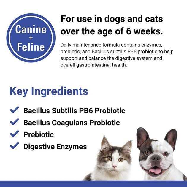 Pet Supplies S760872