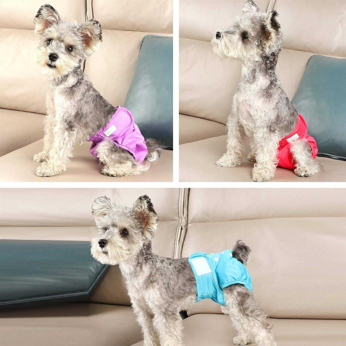 Washable Reusable Dog Diapers M277