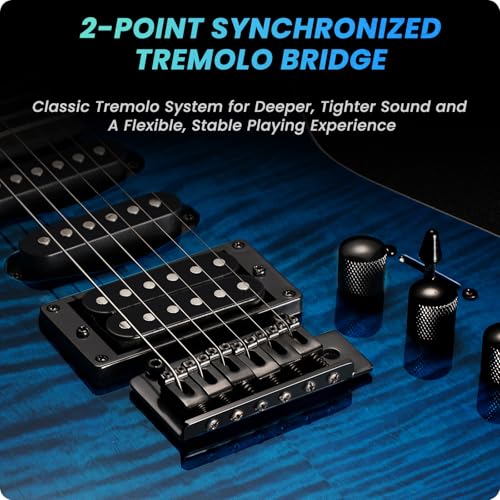 Black Solid Body Electric Guitar with 24 Frets R984