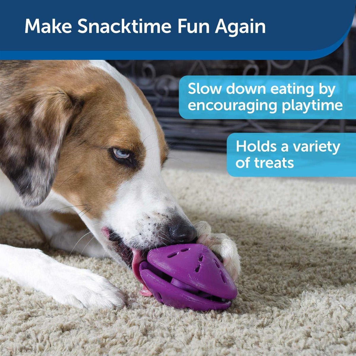 Dog Toy O285393