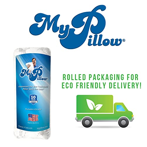Queen Firm Bed Pillow R862030