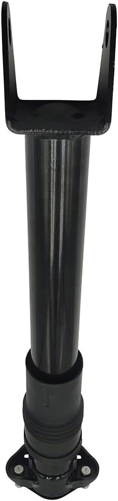 1 Pcs Rear Left and Right Air Suspension Struts Shock D8419