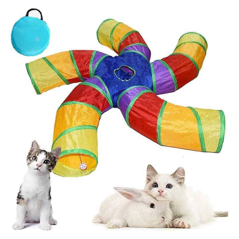 Cat Tunnel N93424