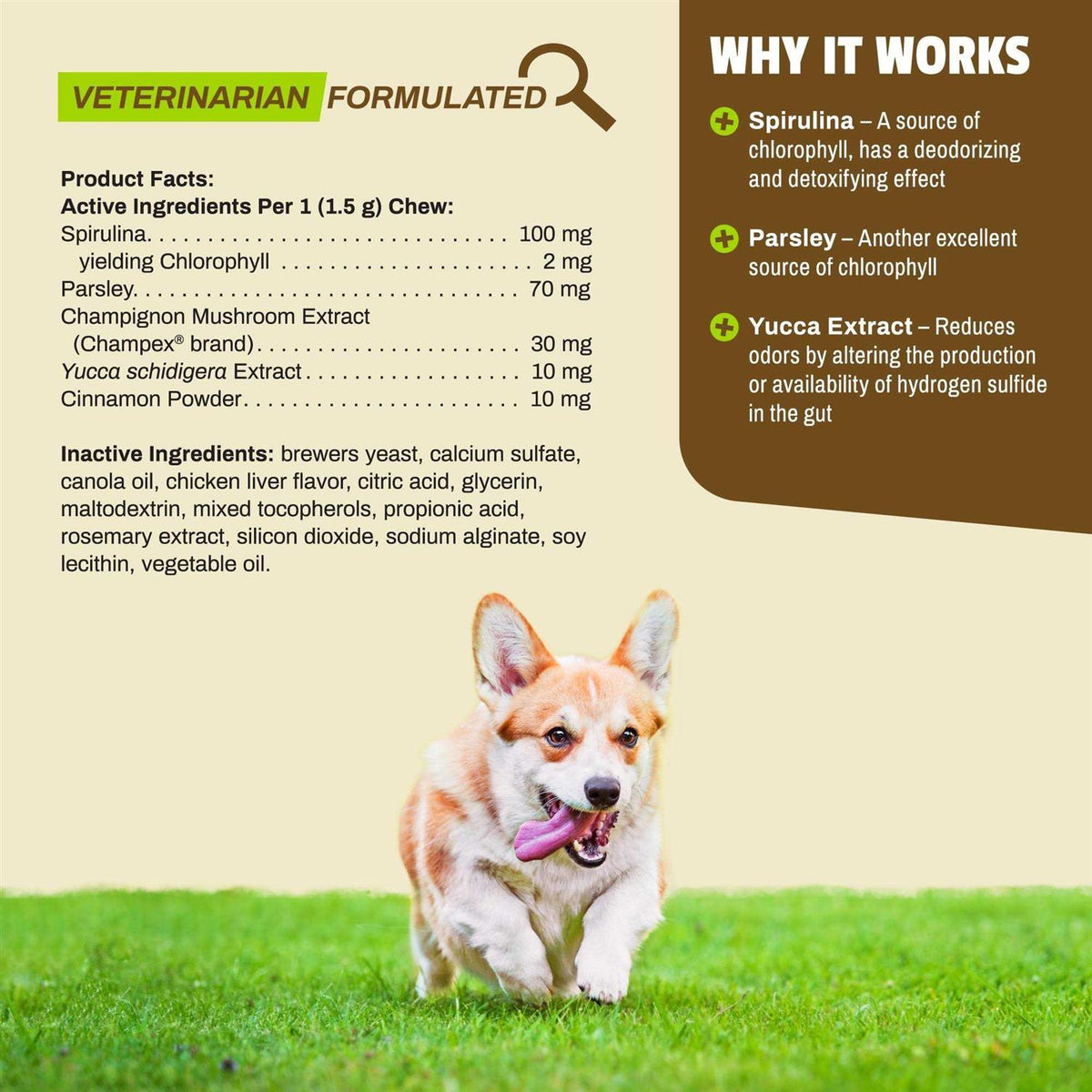Breath Bites for Dogs G625