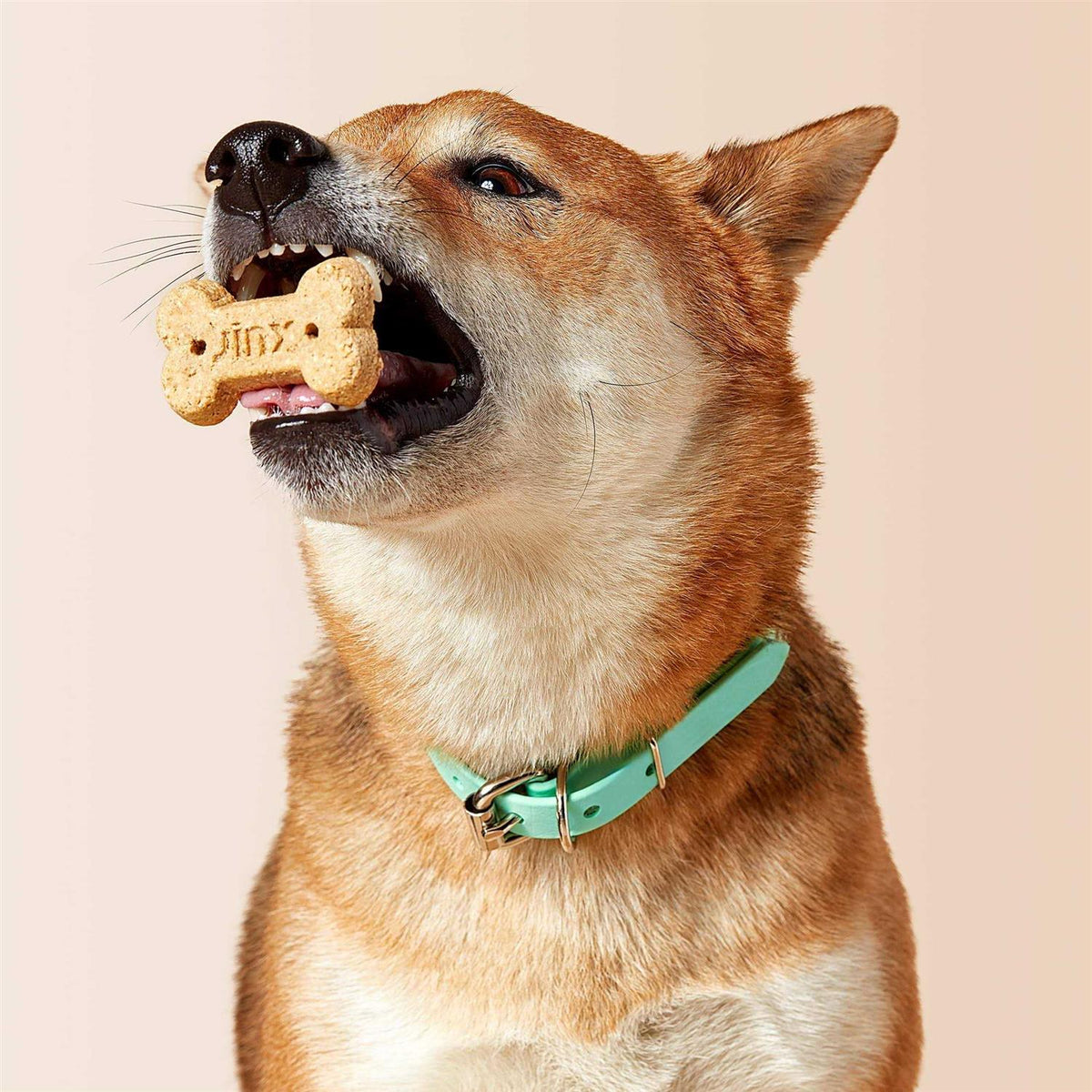 Chicken & Bone Broth Biscuits Crunchy Dog Treats U116791