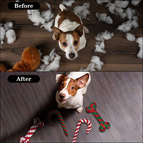 4 Pack Christmas Dog Rope Toys Candy Cane and Bone Shape K882