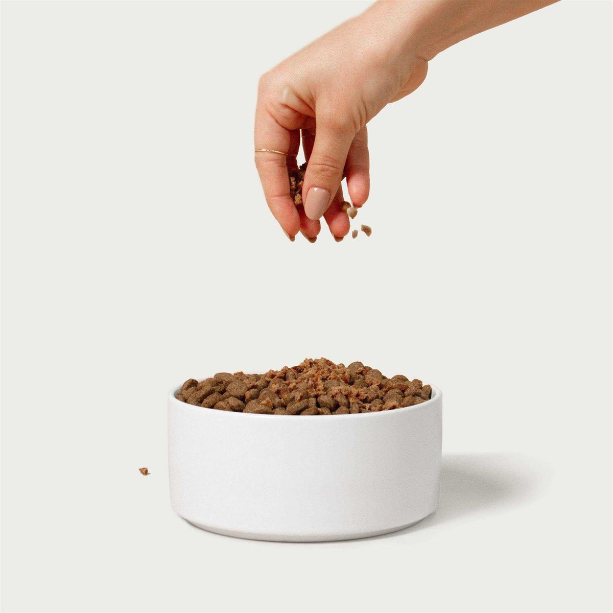 Beef Recipe Dog Food Topper B934
