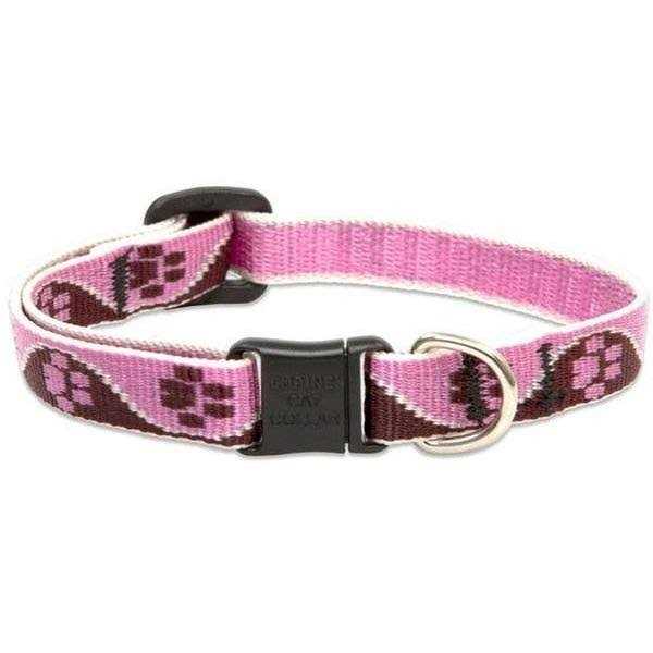 Cat Safety Collar S5297