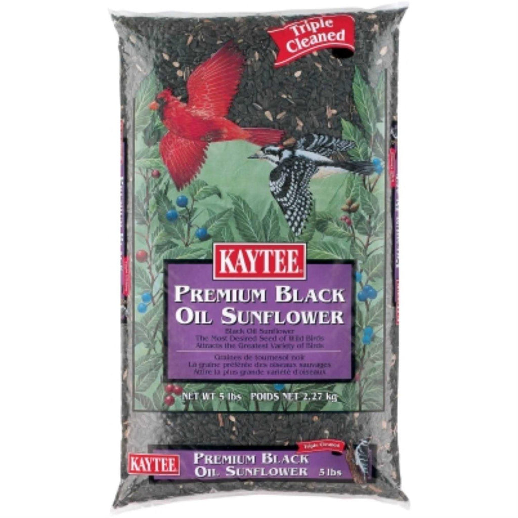 Black Oil Sunflower Food L618272