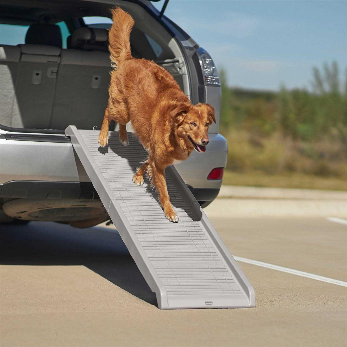 Bi-Fold Plastic Pet Ramp L29594