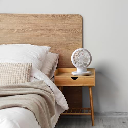 Oscillating Fan H820288