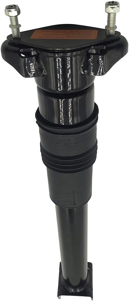 1 Pcs Rear Left and Right Air Suspension Struts Shock D8419