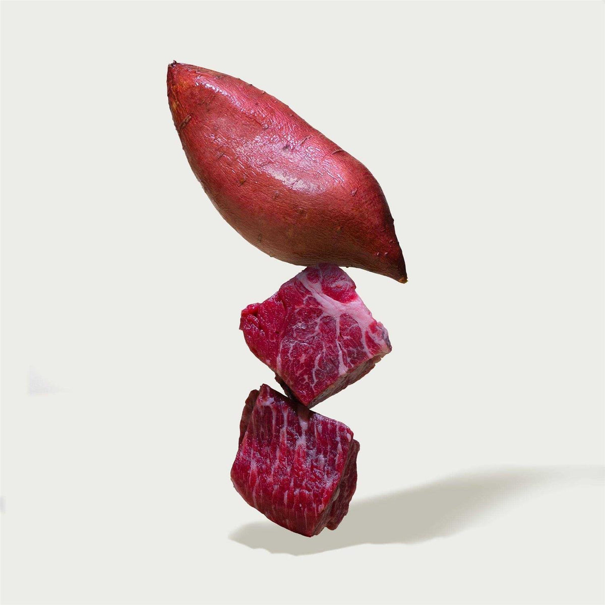 Beef Recipe Dog Food Topper B934