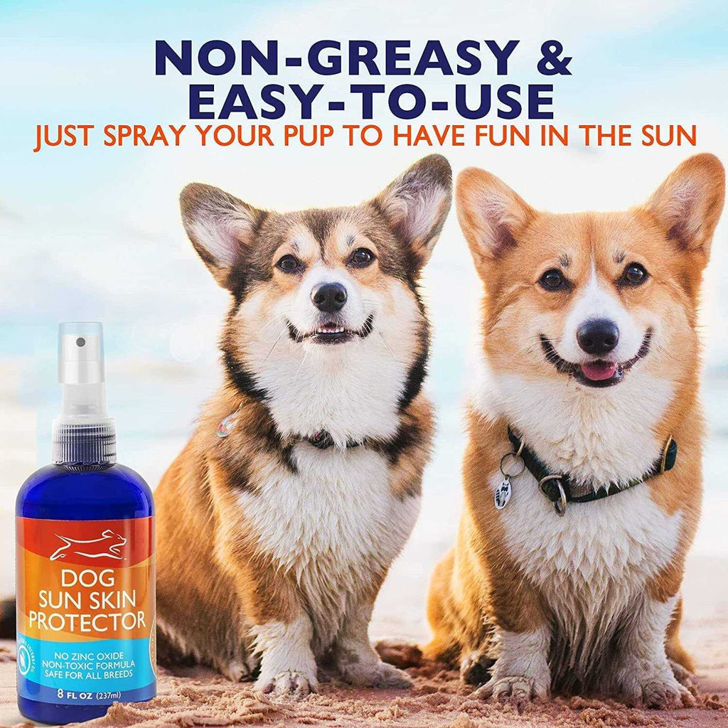Dog Sunscreen Spray 8 oz I31222