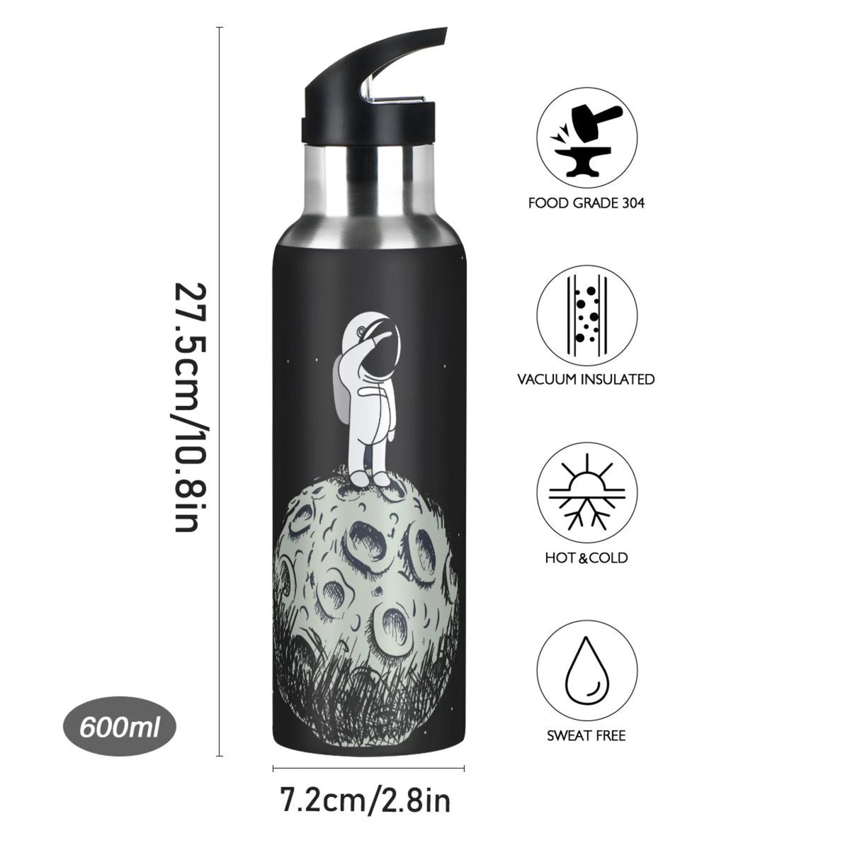 Stainless Steel Insulated Water Bottle with Straw Lid L811654