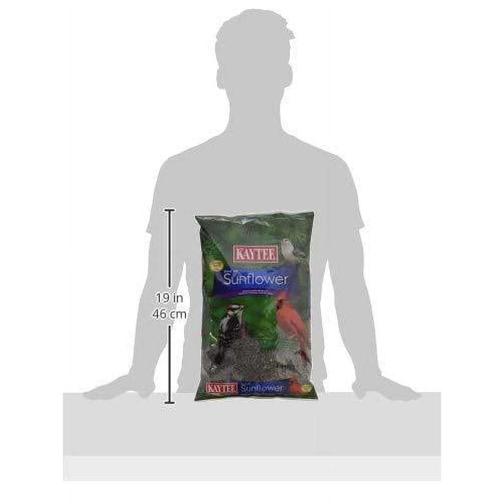 Black Oil Sunflower Food L618272