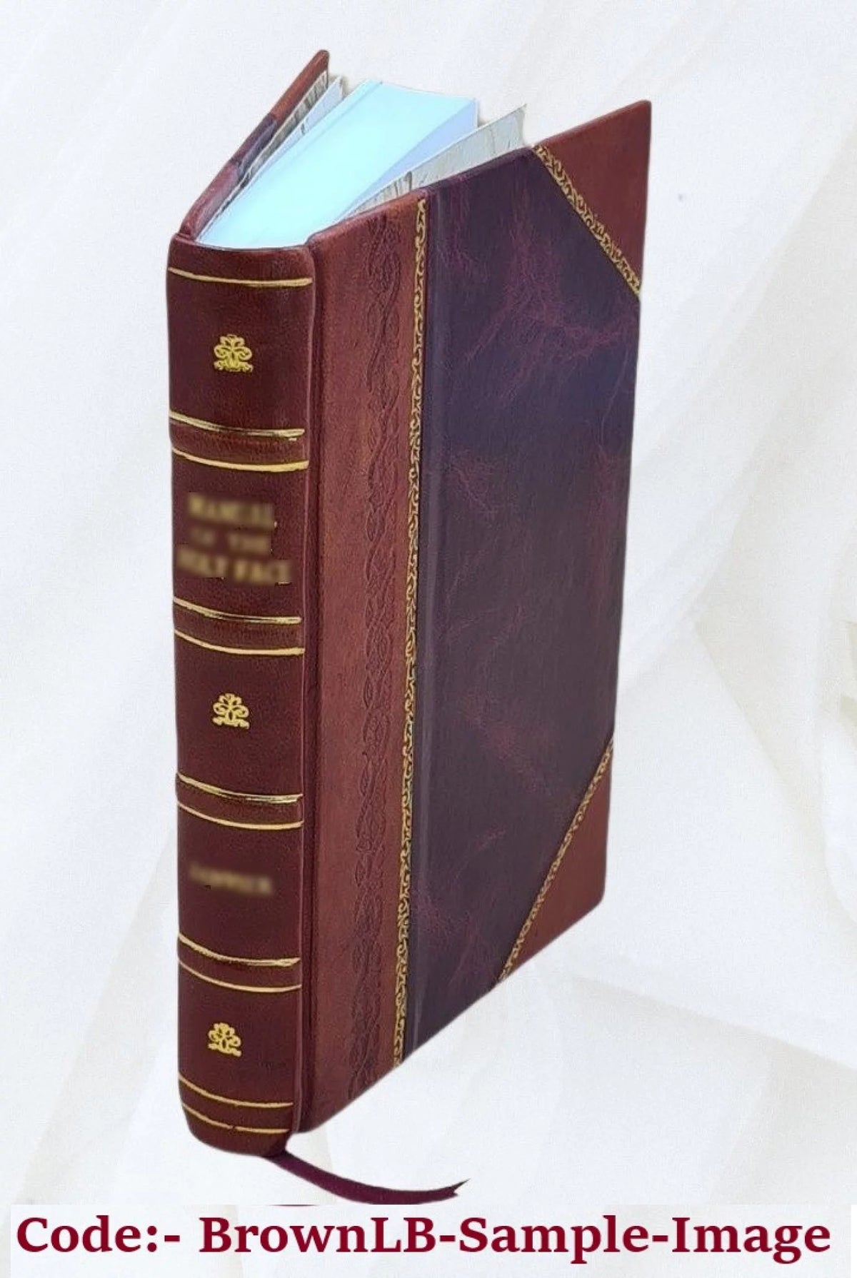Cours de mécanique appliquée Hydraulique Leather Bound D896