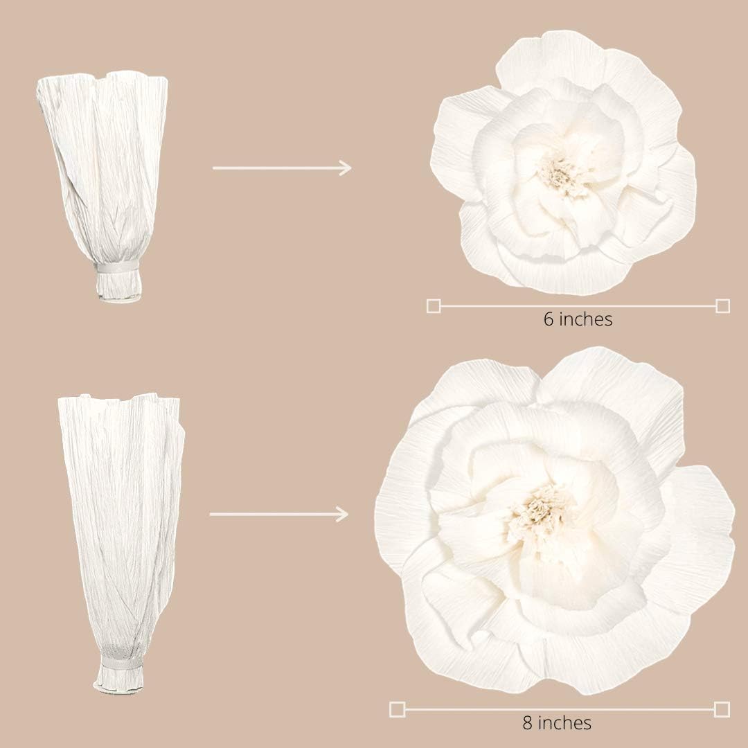 6Pcs Large 3D Paper Flower Wall Decor K4431