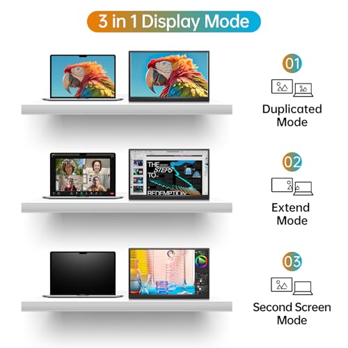 15.6 Inch 1080P USB-C HDMI IPS Portable Monitor S152
