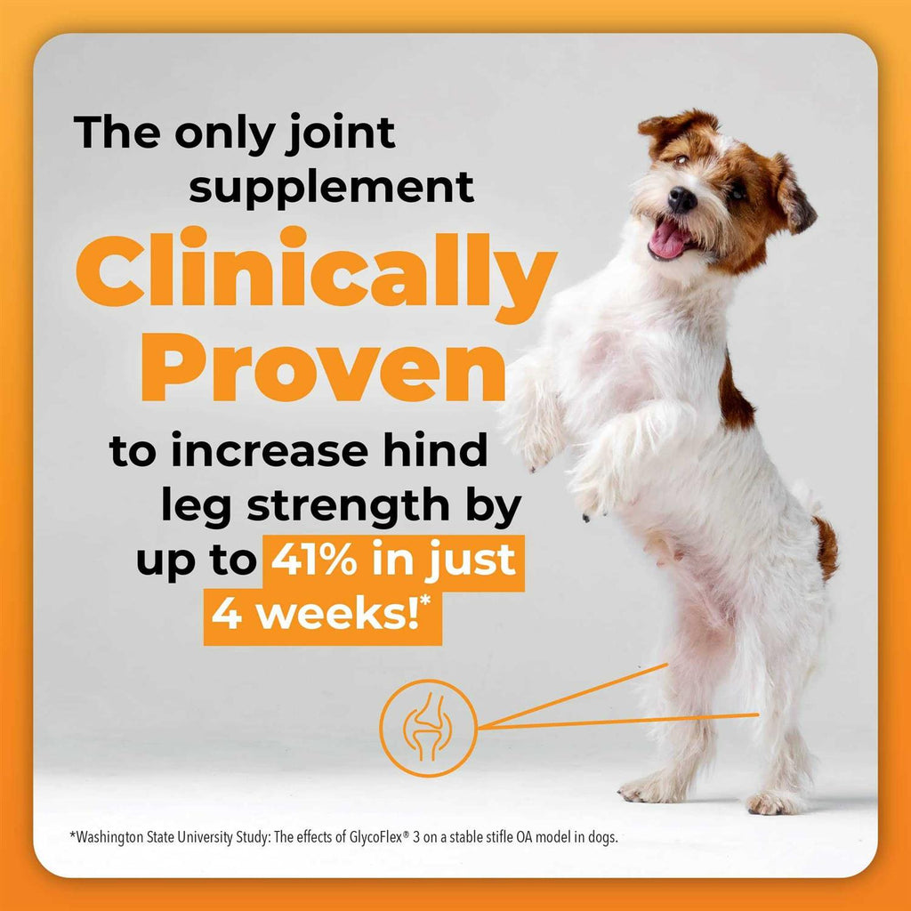 GlycoFlex Plus for Dogs H867401