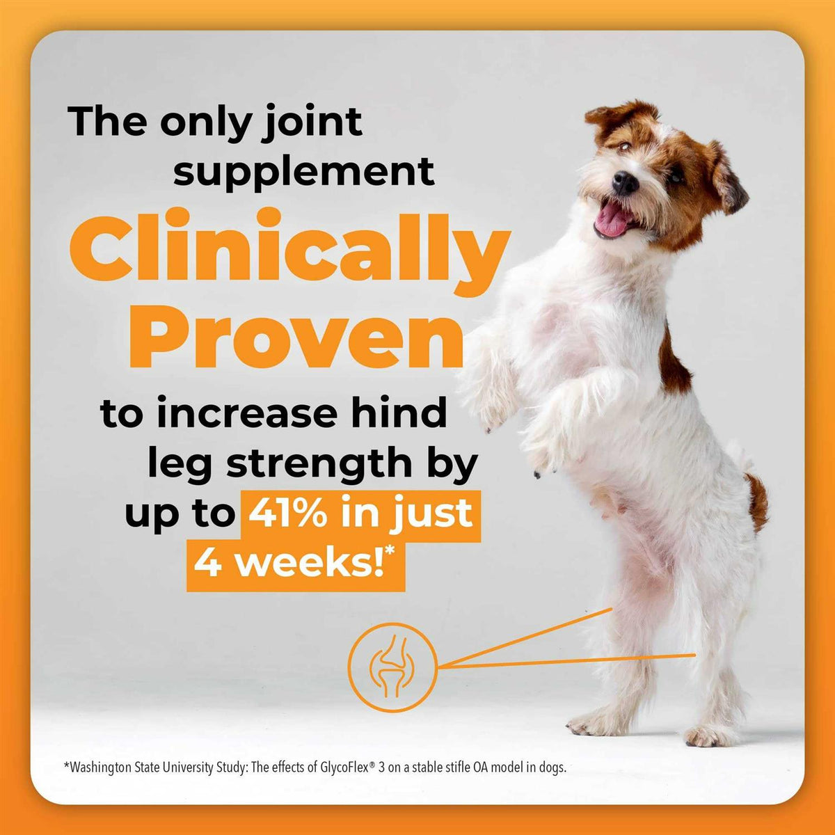 GlycoFlex Plus for Dogs H867401