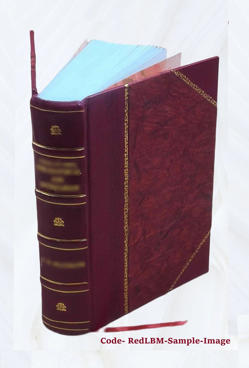 Leather Bound Book N925985