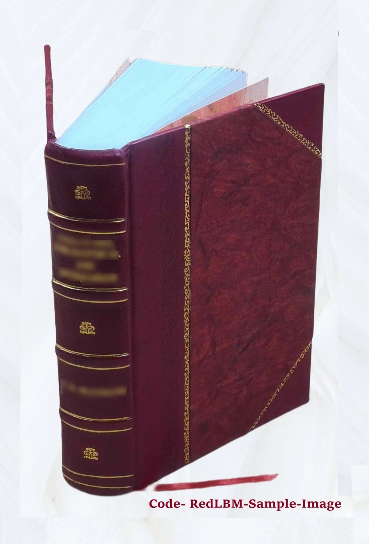 Leather Bound Book N925985