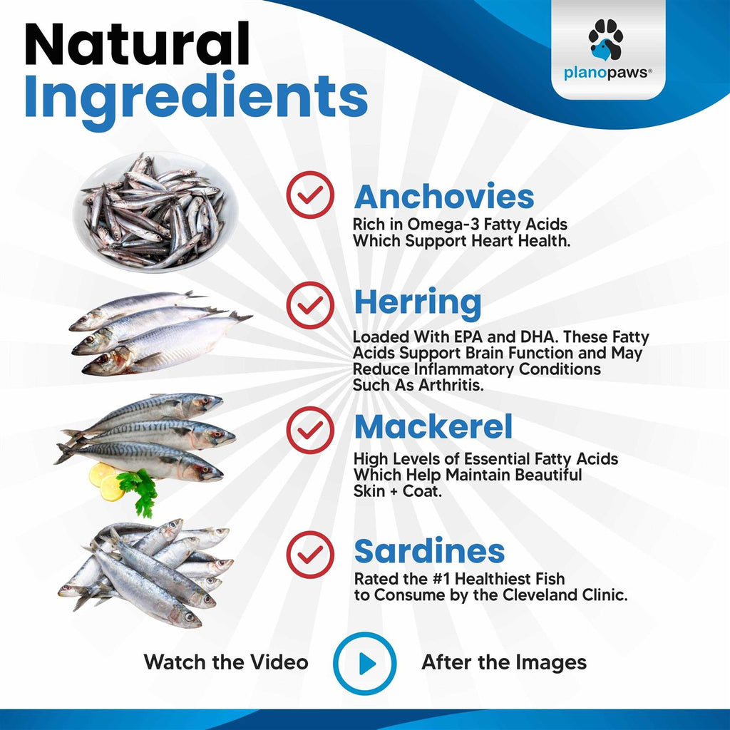 Omega 3 Fish Oil for Dogs J182627