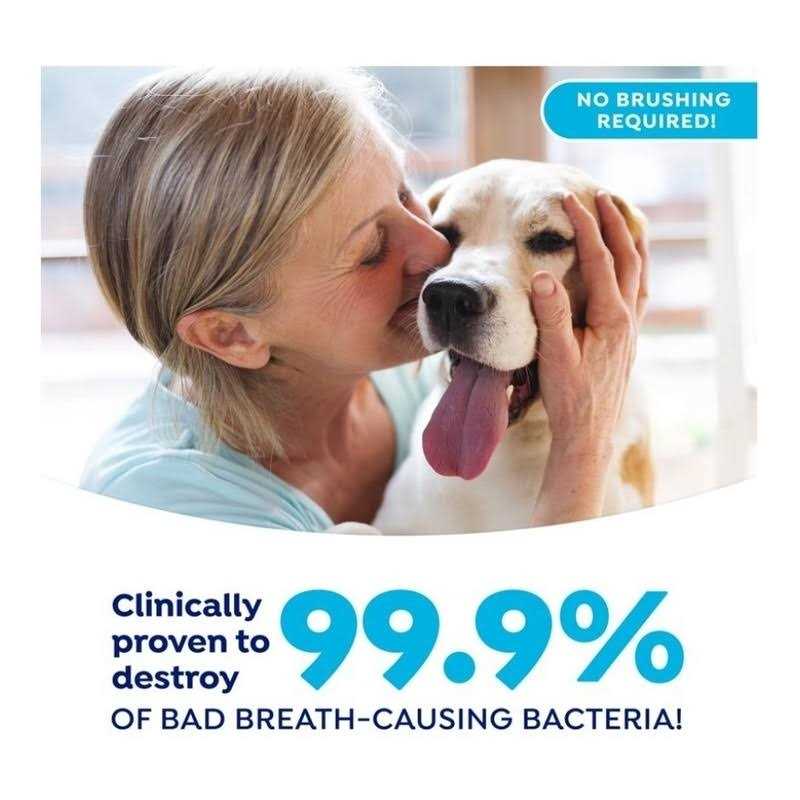 Fresh Dental Gel Toothpaste for Dogs & Cats C43565