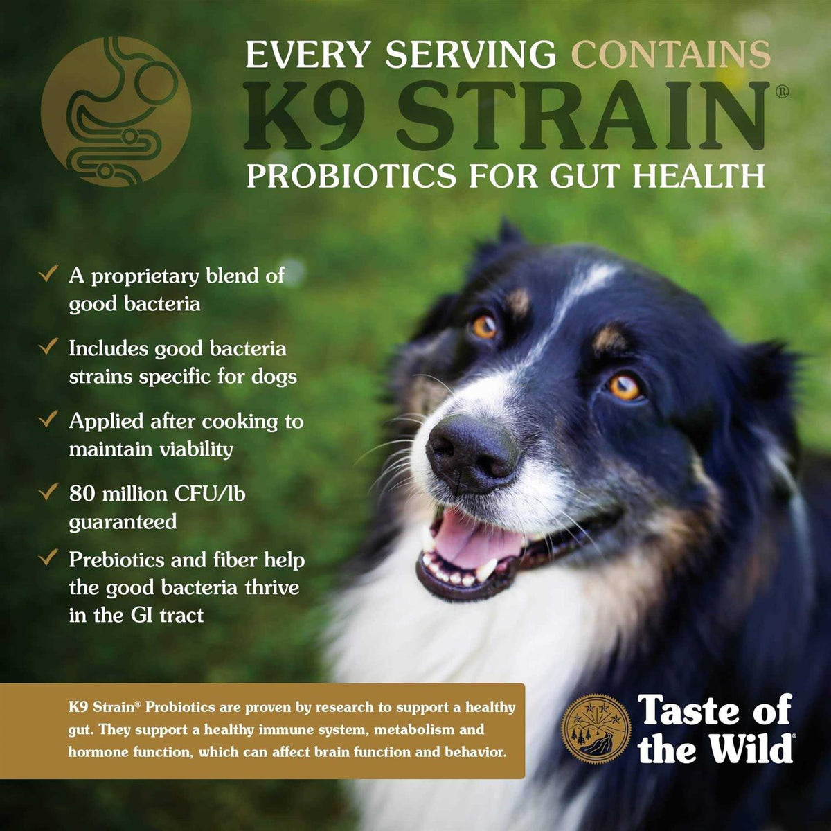 High Prairie Puppy Food U94661
