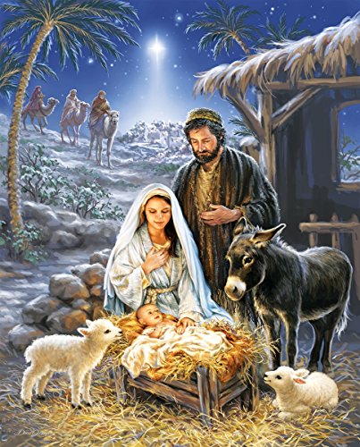 1000 Piece Jigsaw Puzzle F30223