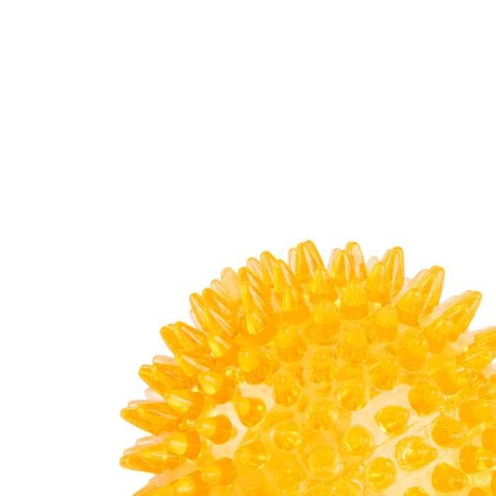 Spiny Ball Dog Chew Toy I376667