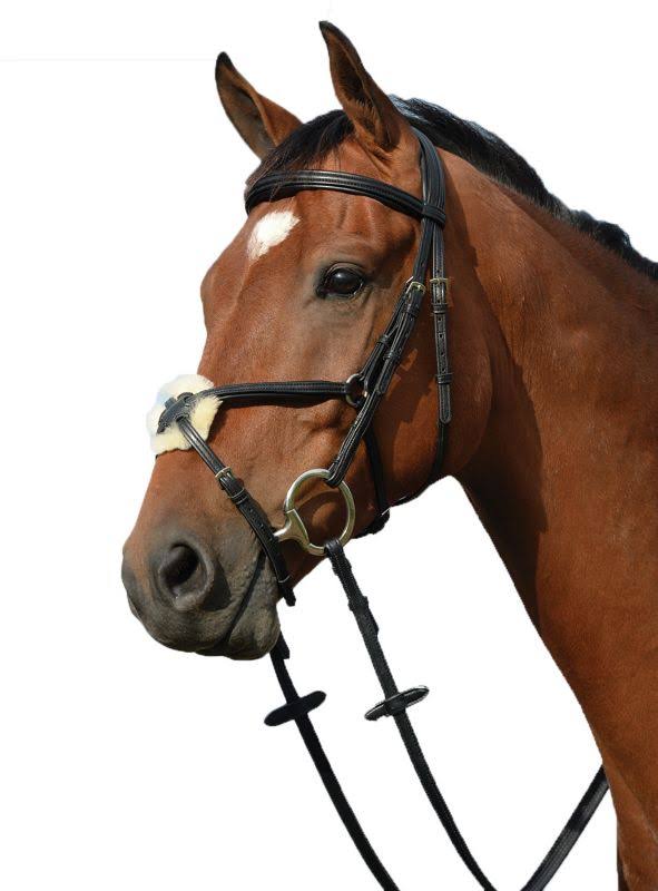 Black Padded Raised Cavesson Bridle L929024