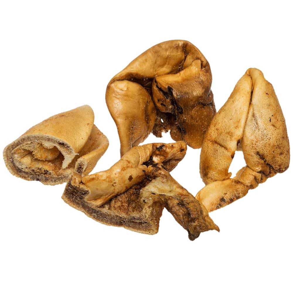 Dog Treats O51229