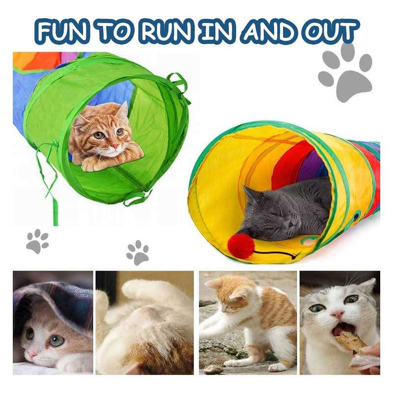 Cat Tunnel N93424