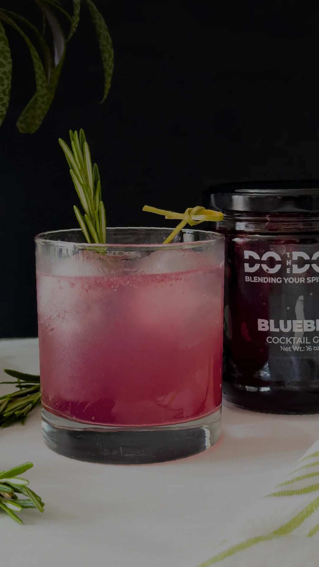 Blueberry in Light Syrup 12 units x 16oz X6289