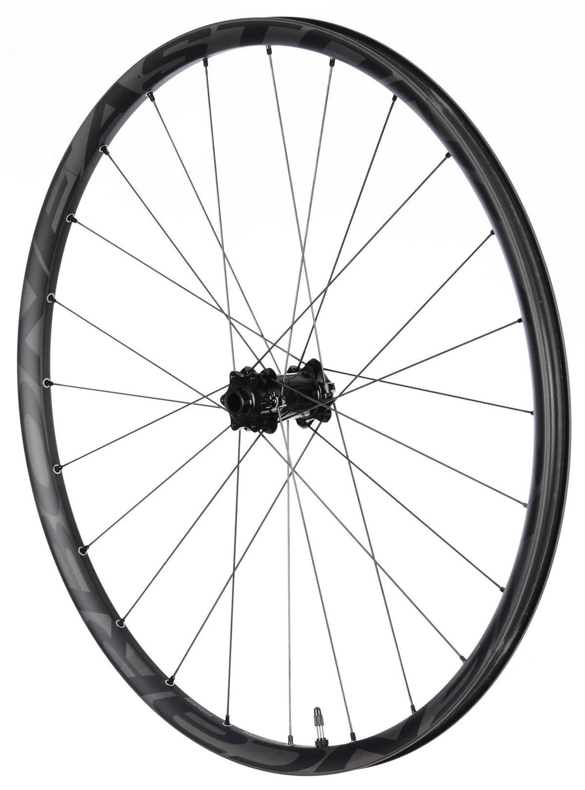 Carbon 29er Front Wheel M36825