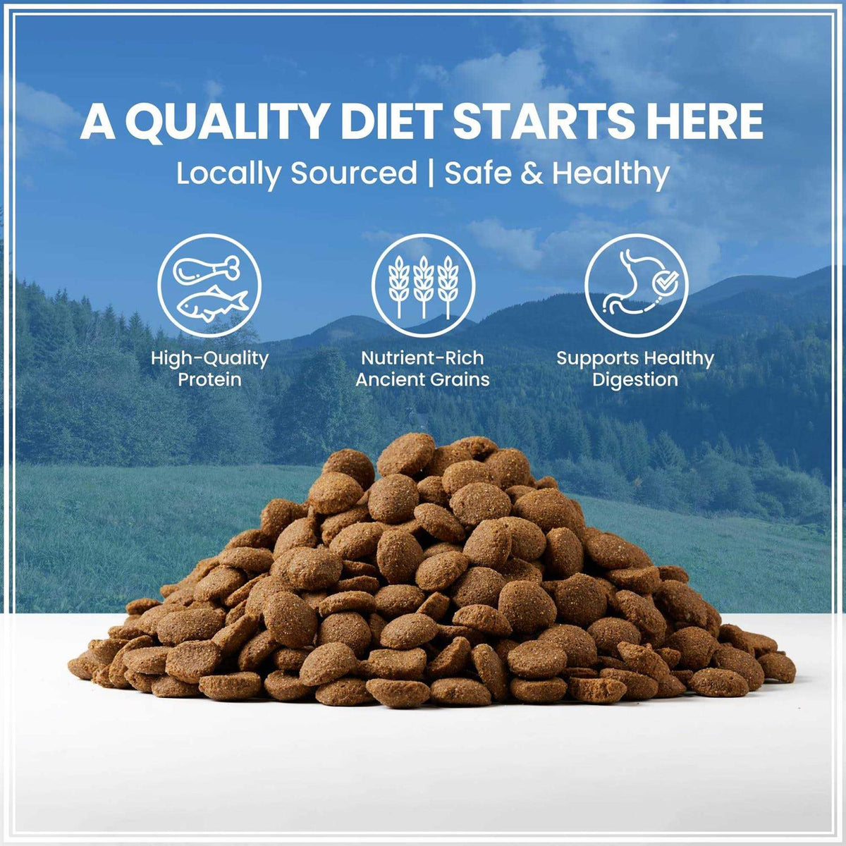 Ancient Grains with Chicken Dog Food U651726