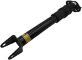 1 Pcs Rear Left and Right Air Suspension Struts Shock D8419
