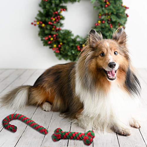 4 Pack Christmas Dog Rope Toys Candy Cane and Bone Shape K882