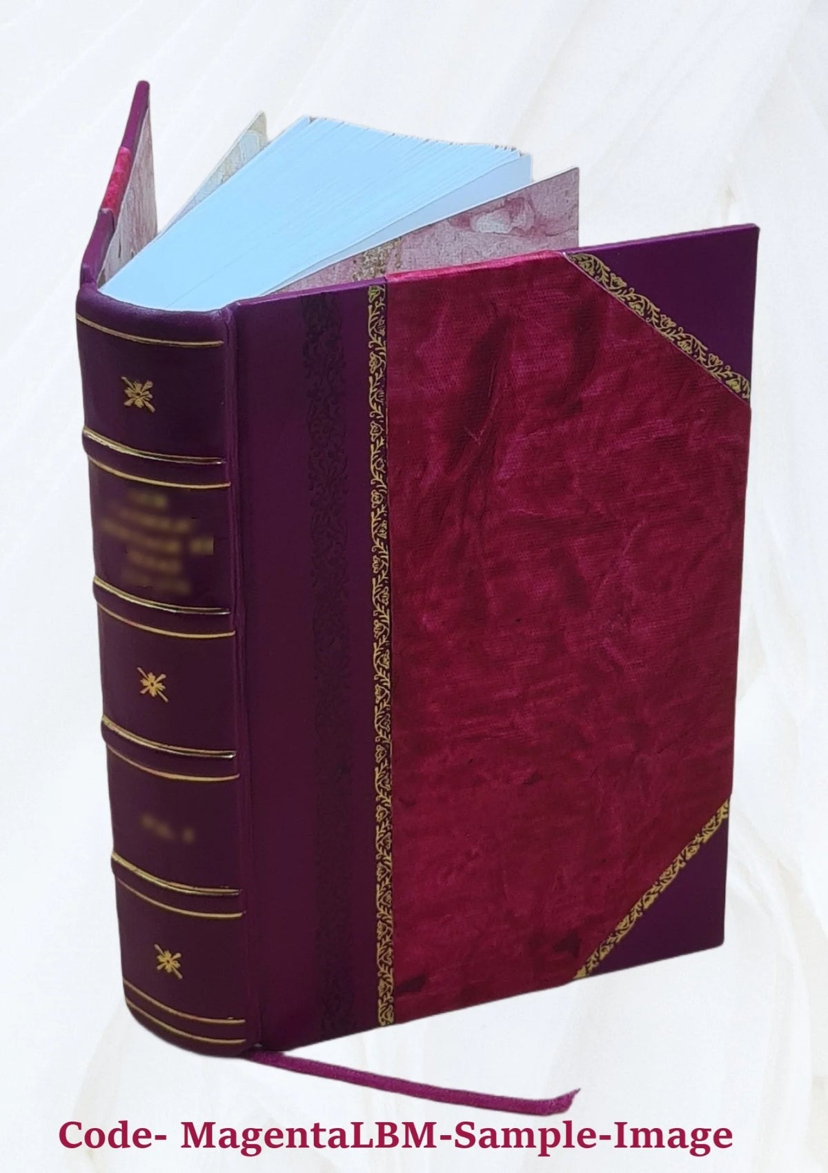 Leather Bound Book N925985