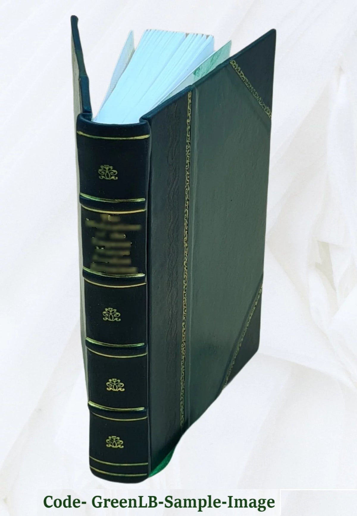 Cours de mécanique appliquée Hydraulique Leather Bound D896