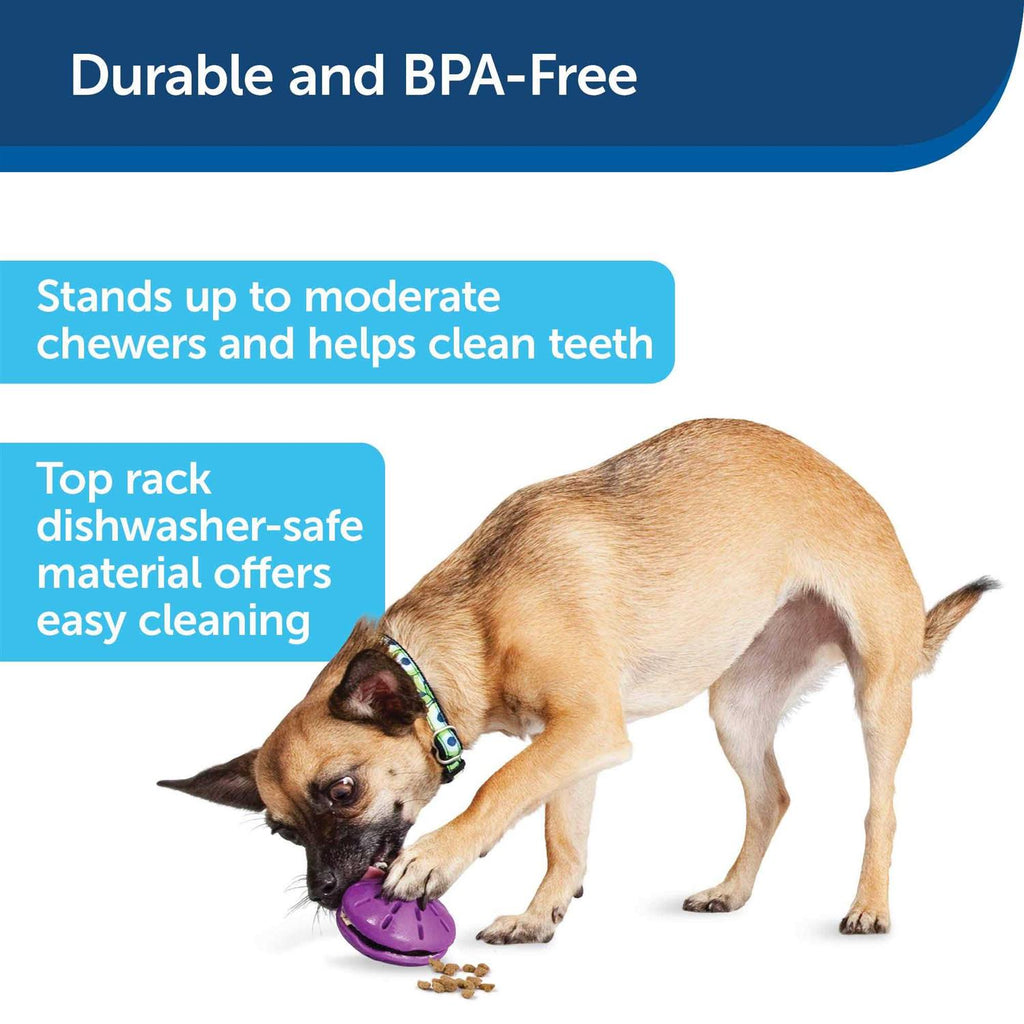Dog Toy O285393